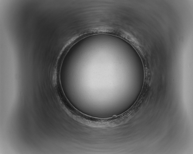 X0000116880012200912221434