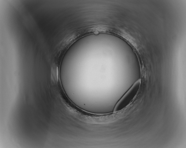 X0000116880013200912221434
