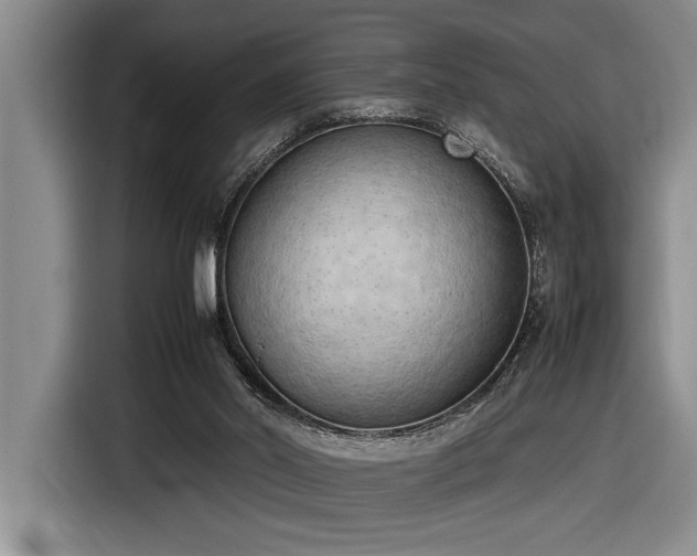 X0000116880014200912221434