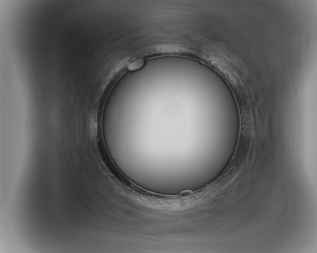 X0000116880015200912221434