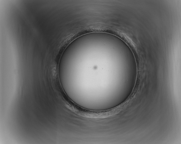 X0000116880017200912221434