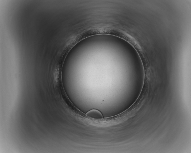 X0000116880018200912221434