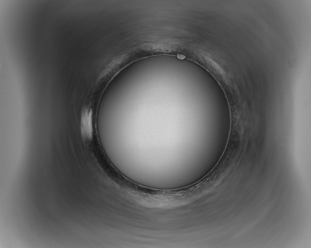X0000116880020200912221434