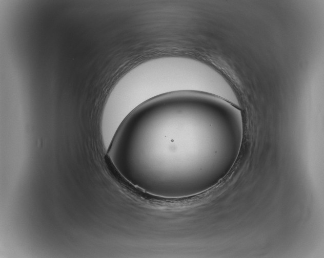 X0000116880021200912221434