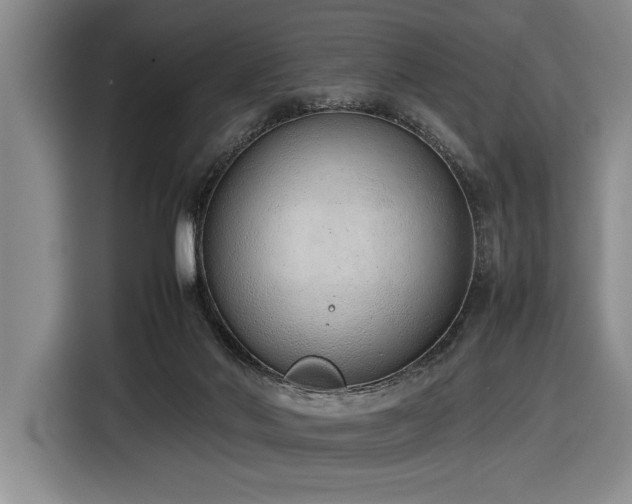 X0000116880022200912221434