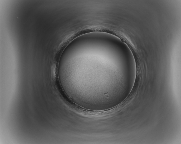 X0000116880023200912221434
