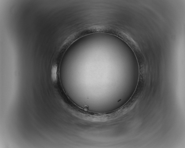 X0000116880024200912221434