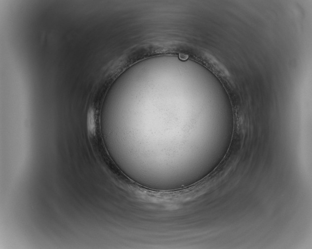 X0000116880026200912221434