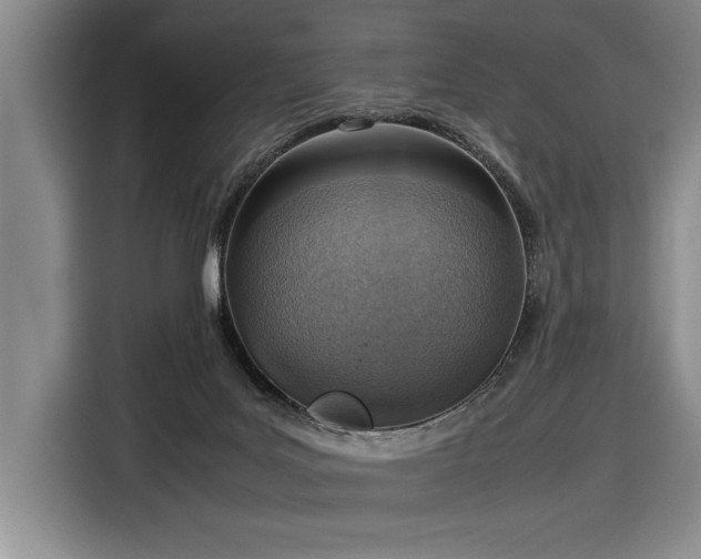 X0000116880027200912221434