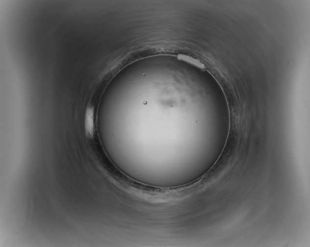 X0000116880028200912221434