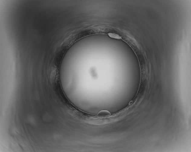 X0000116880029200912221434