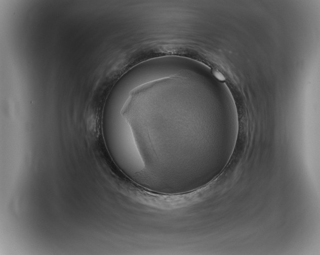 X0000116880031200912221434