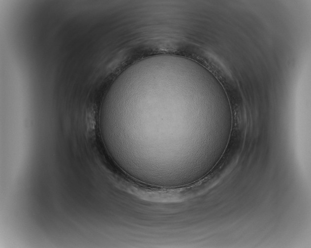 X0000116880032200912221434