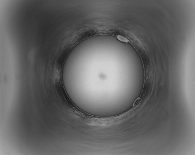 X0000116880033200912221434