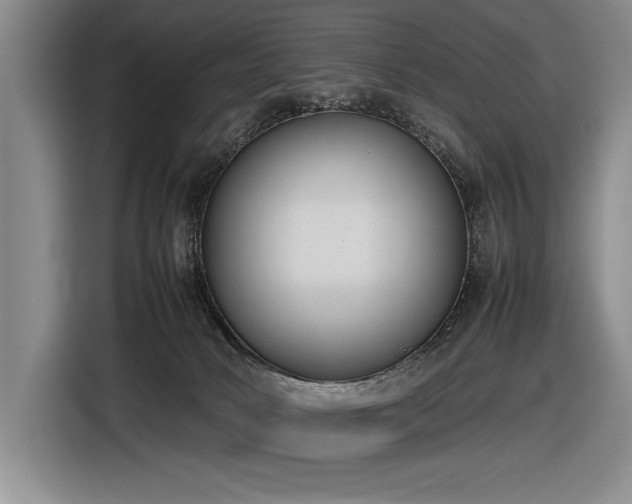 X0000116880034200912221434