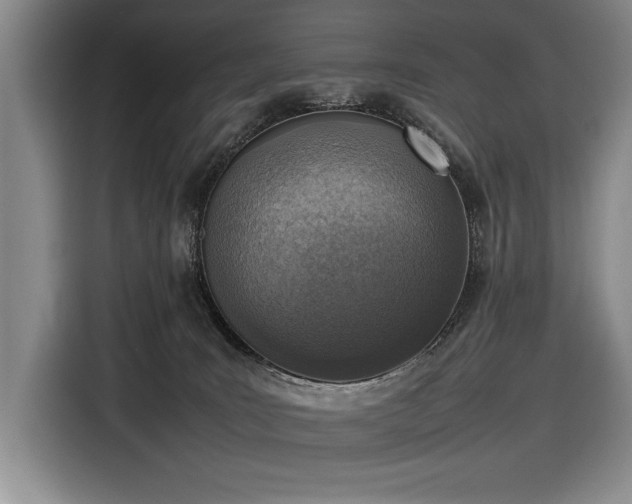 X0000116880035200912221434