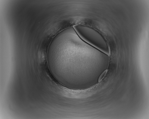 X0000116880039200912221434