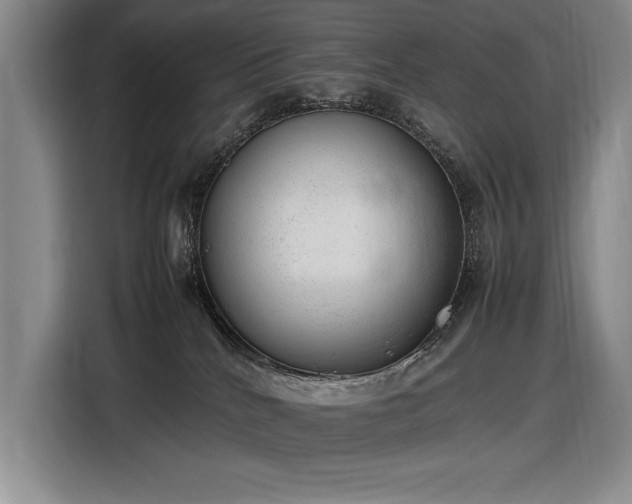 X0000116880040200912221434
