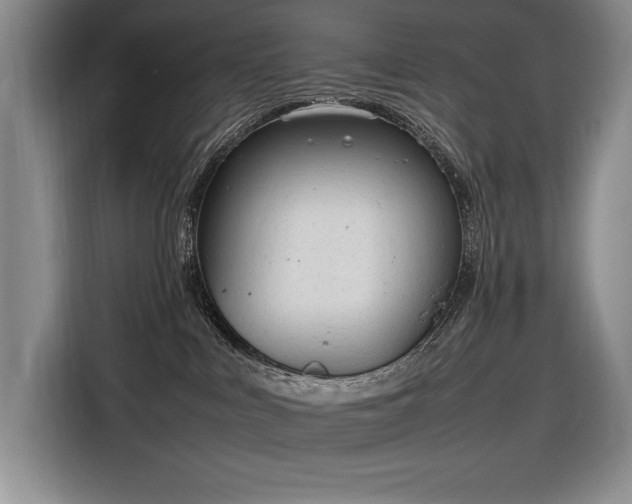 X0000116880043200912221434