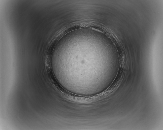 X0000116880044200912221434