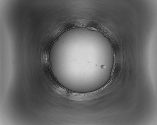 X0000116880045200912221434
