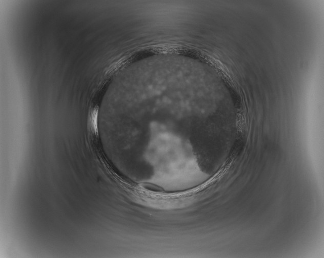 X0000116880047200912221434