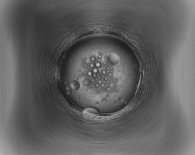 X0000116880048200912221434