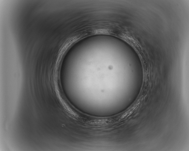 X0000116880049200912221433