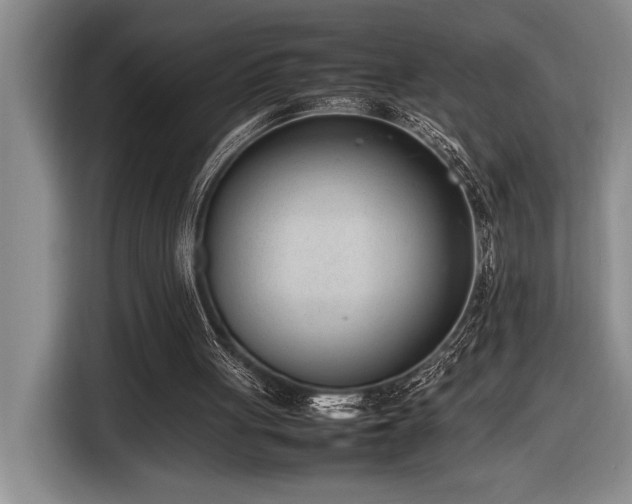 X0000116880051200912221433