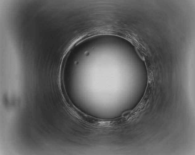 X0000116880052200912221433