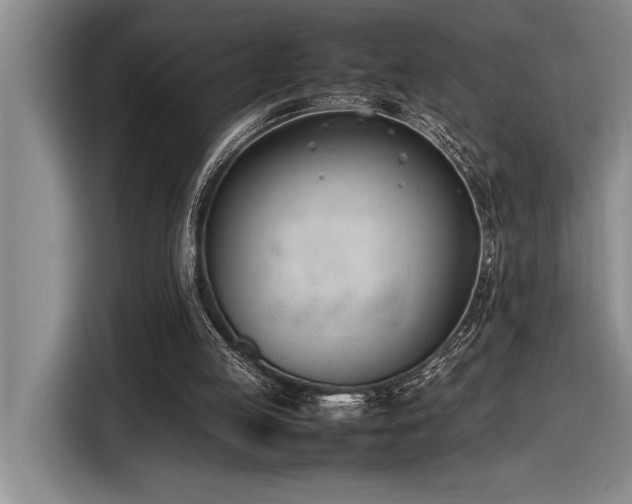 X0000116880053200912221433