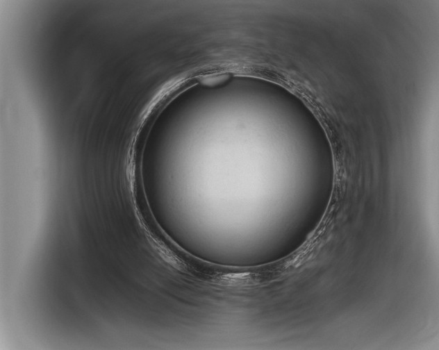 X0000116880054200912221433