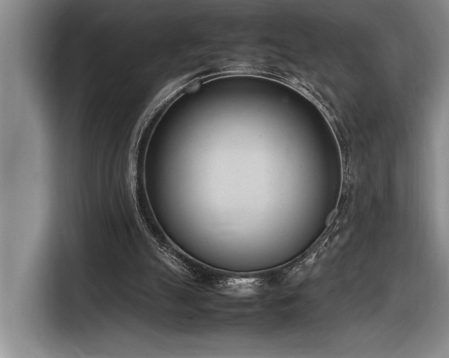 X0000116880055200912221433