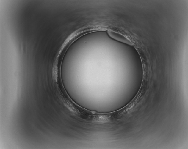 X0000116880056200912221433