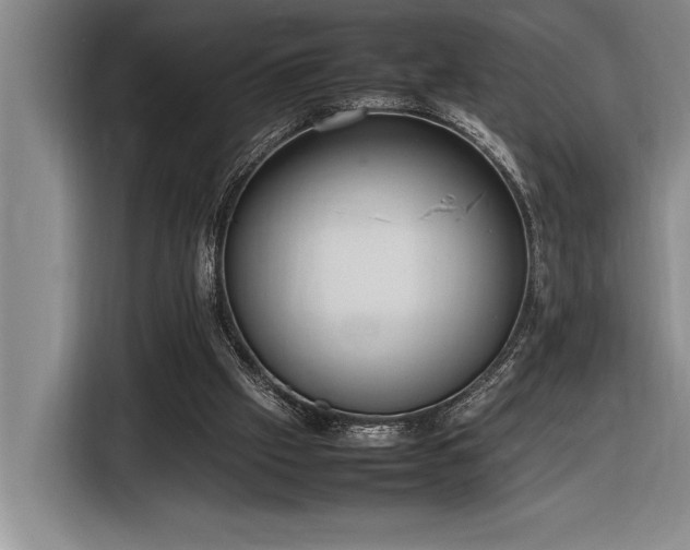X0000116880057200912221433