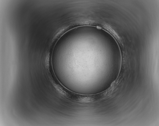 X0000116880058200912221433
