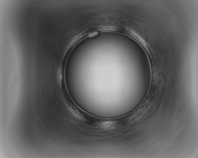 X0000116880059200912221433