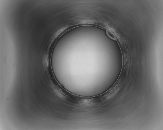 X0000116880060200912221433