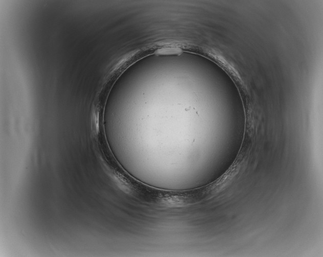 X0000116880062200912221434