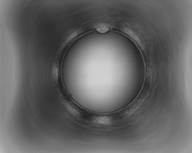 X0000116880063200912221434