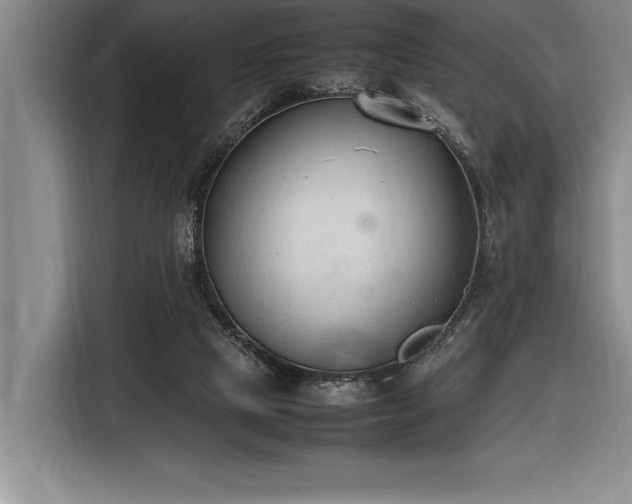 X0000116880065200912221434