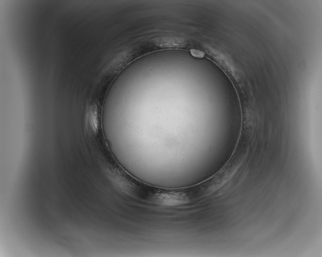 X0000116880069200912221434