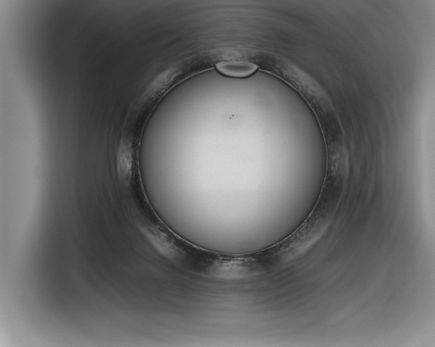 X0000116880072200912221434