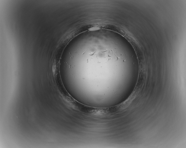 X0000116880074200912221434
