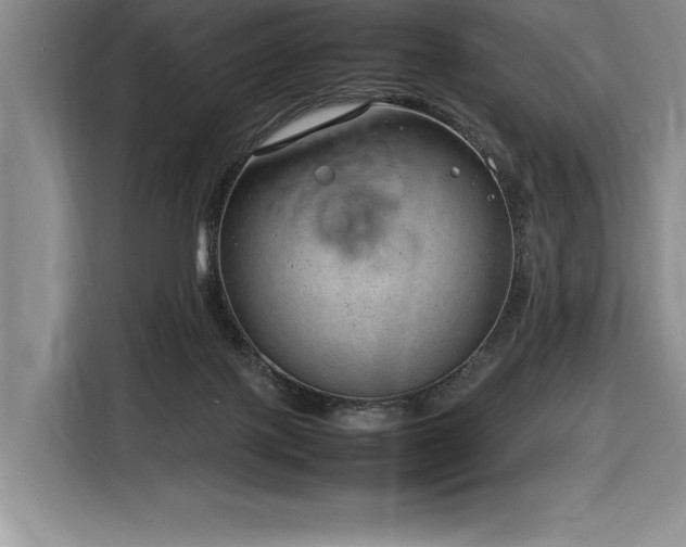 X0000116880075200912221434