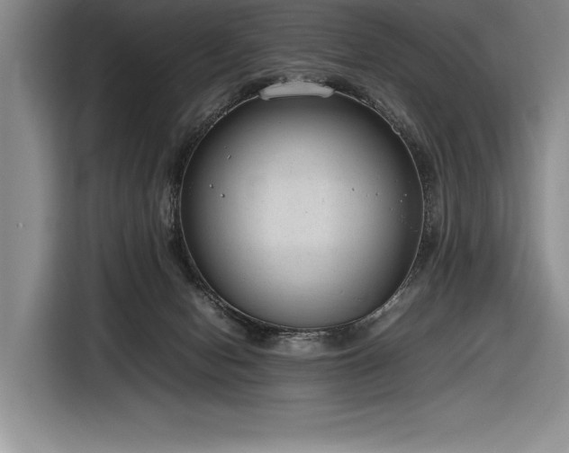 X0000116880078200912221434