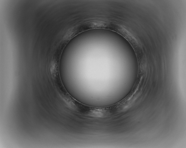 X0000116880079200912221434