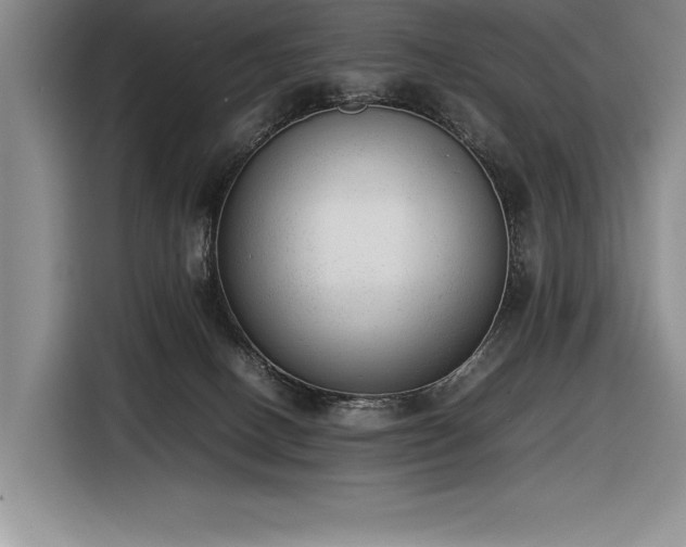 X0000116880082200912221434