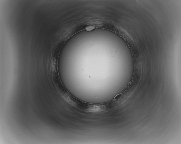 X0000116880083200912221434