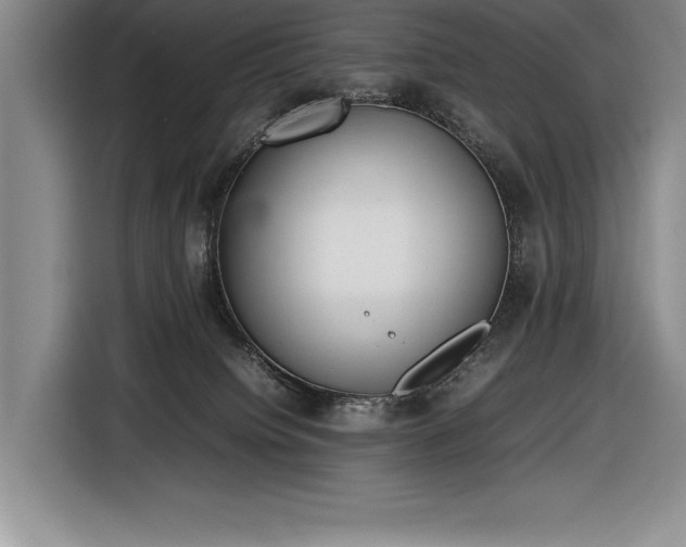 X0000116880084200912221434